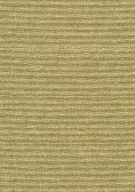 Tuval doku. Yüksek çözünürlük