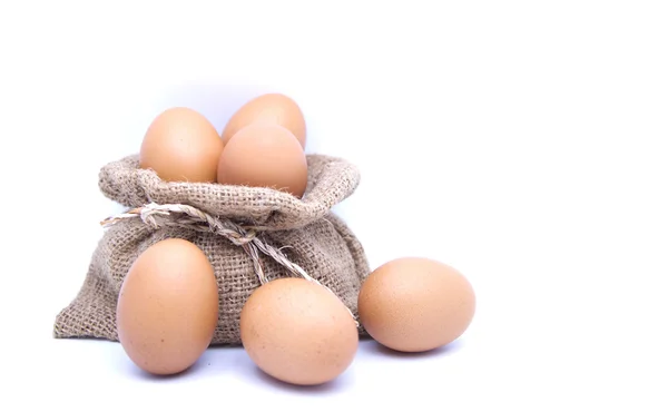 yumurta beyaz arka plan ile 