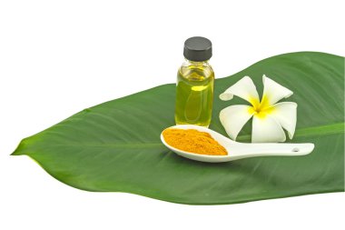 Beyaz frangipani çiçekler (Plumeria spp çiçek, Apocynaceae çiçek, Pagoda ağaç çiçek, tapınak ağaç çiçek), yaprak yeşil beyaz kaşık ve masaj yağı zerdeçal tozu izole beyaz arka plan üzerinde. Kırpma yolu ile kaydedilmiş