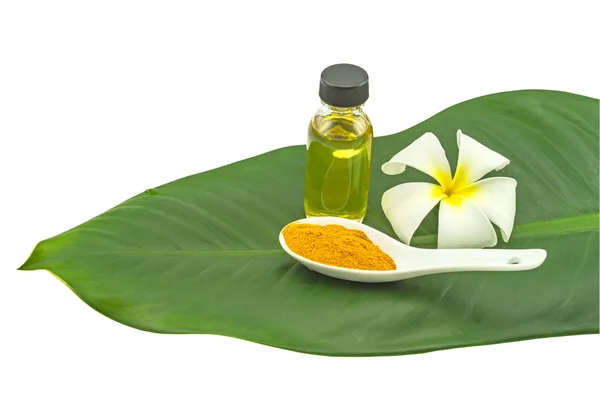 White frangipani flowers (Plumeria spp flower , Apocynaceae flower, Pagoda tree flower, Temple tree flower) , turmeric powder in white spoon and massage oil  in green leaf isolate on white background.Saved with clipping path Royalty Free Stock Images