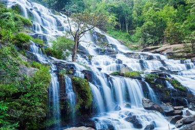 Mae Ya şelale, Doi Inthanon Milli Parkı Chiangmai, Tayland