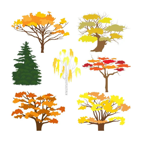 Sonbahar yaprak döken ağaçlar ve Ladin ağaçları. — Stok Vektör