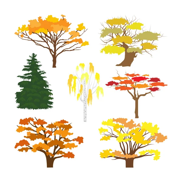 Arbres à feuilles caduques et épicéa d'automne — Image vectorielle