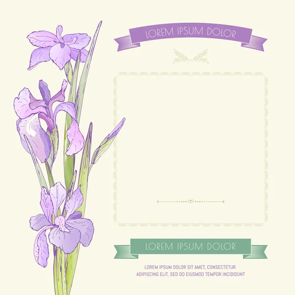 Iris card with frame — Stock Vector