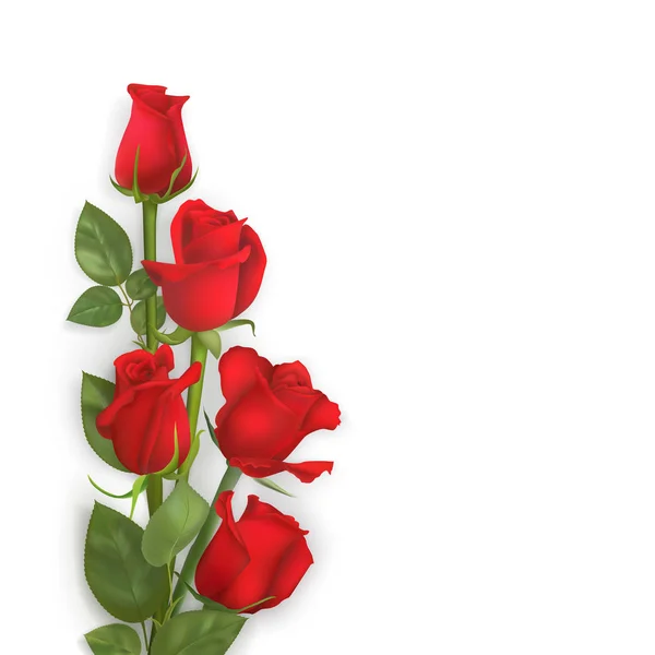 精致的矢量红玫瑰 — 图库矢量图片