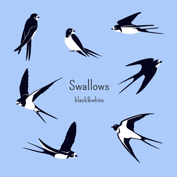 Simple Swallows Light Blue Background Five Flying Two Sitting Swallows — Stock Vector