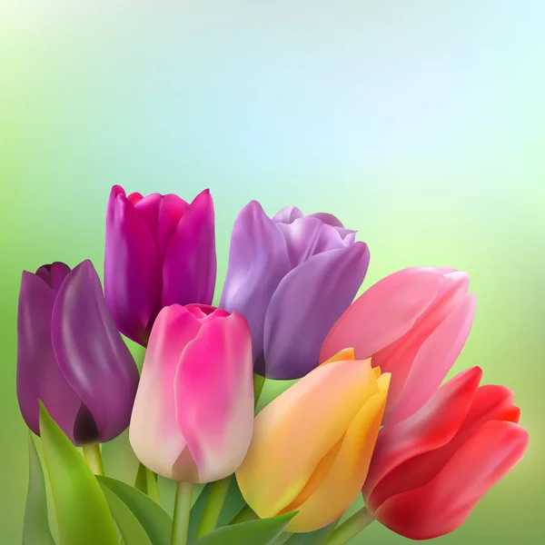 Bouquet Tulipes Rouges Jaunes Roses Violettes Lilas Sur Fond Vert — Image vectorielle