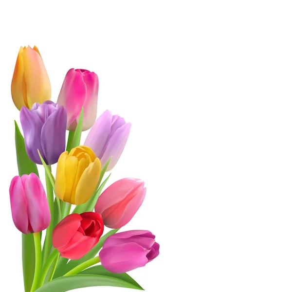 Tarjeta de primavera con tulipanes coloridos — Vector de stock