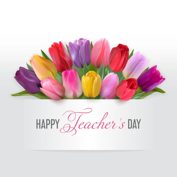 Tulipes Colorées Sous Une Bannière Horizontale Légère Blanc Écriture Main — Image vectorielle