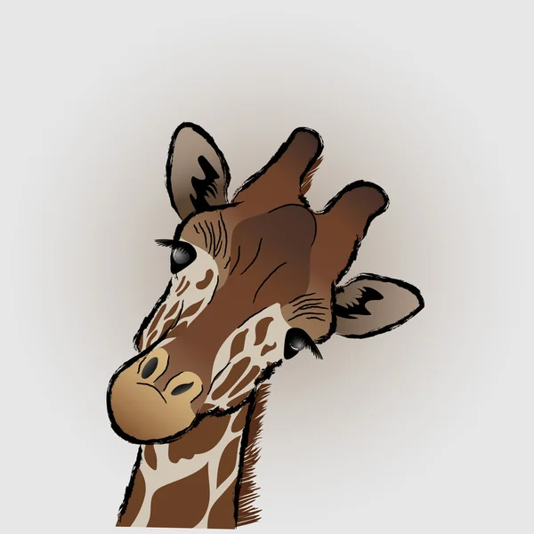 Girafe Visage Fermer — Image vectorielle