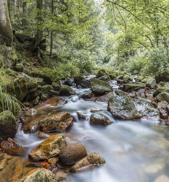 Oppenau Almanya stream