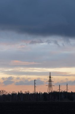 Ağaçların siluetleri, kış akşamları günbatımında elektrik hatları..