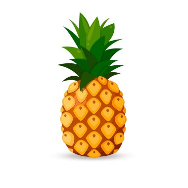 Beyaz arka plan üzerinde izole ananas. Vektör görüntü