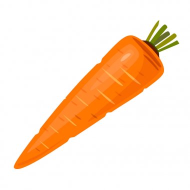 Havuç çizgi film, izole beyaz arka plan. Vektör çizim.