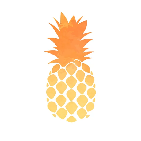 Watercolor red orange Pineapple isolated on white background. Vector image — Stock Vector