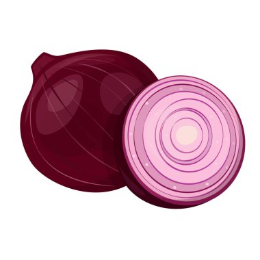 Soğan vektör, bütün ve bölümü. Beyaz arka plan üzerinde izole