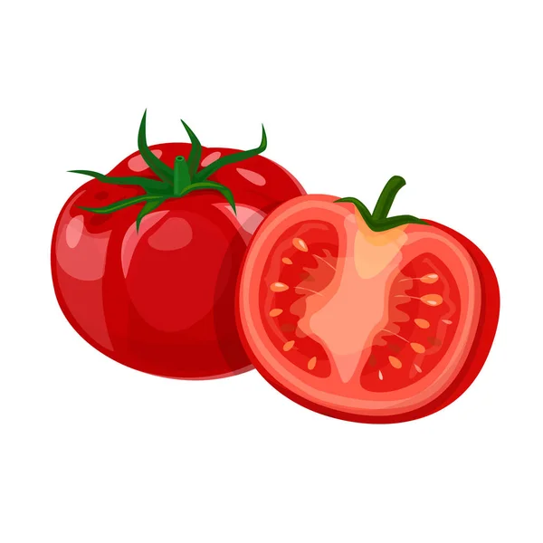 Vector de tomate, entero y parte. Aislado sobre fondo blanco — Archivo Imágenes Vectoriales