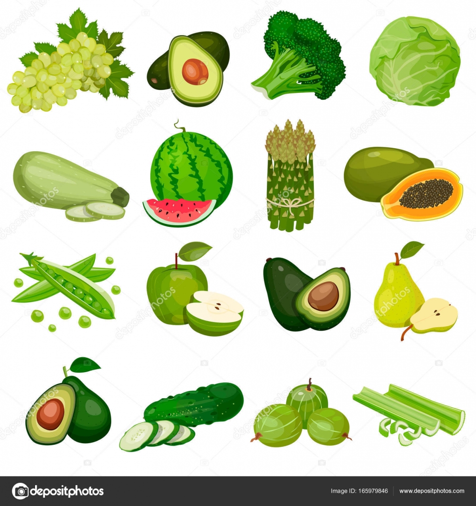 Salad leaf and vegetables sketches. Lettuce, chinese cabbage, spinach and  oakleaf lettuce, arugula, Stock Vector, Vector And Low Budget Royalty Free  Image. Pic. ESY-046842916 | agefotostock