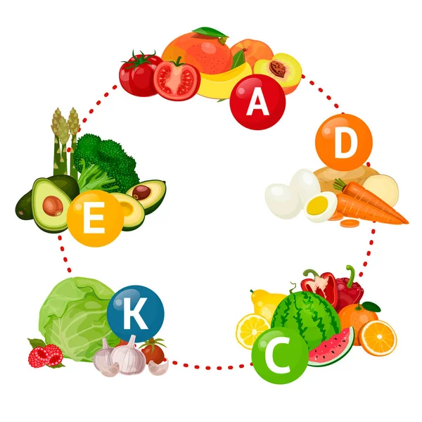 Sebzeler, meyveler ve meyve, vitaminler ve mineraller, illüstrasyon, Vitamin A, C, K, E, D vektör.