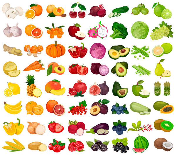 Set of berries and fruits, vegetables on a white background. Vector icon