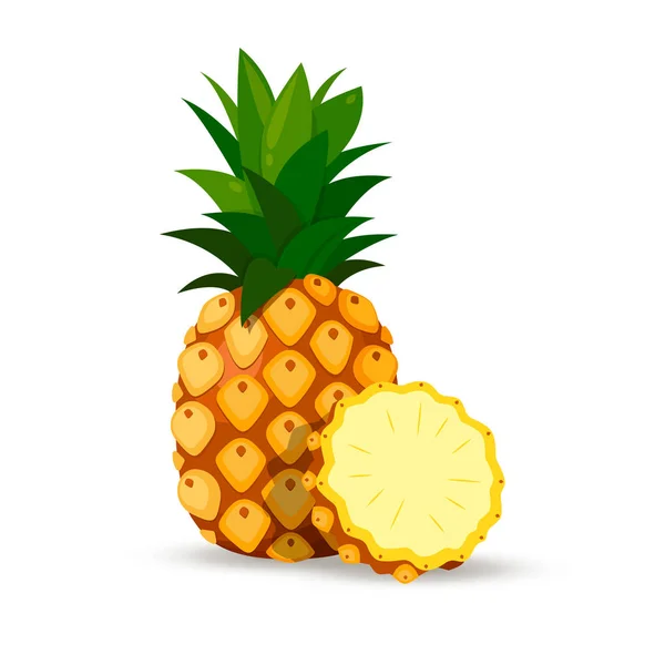 Ananas isolé sur fond blanc. Image vectorielle. Partie coupée — Image vectorielle