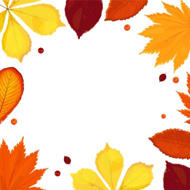 Sararmış yapraklar, kırmızı ve sarı sonbahar çerçeve ağaçlardan bırakır. Vektör. Arka plan