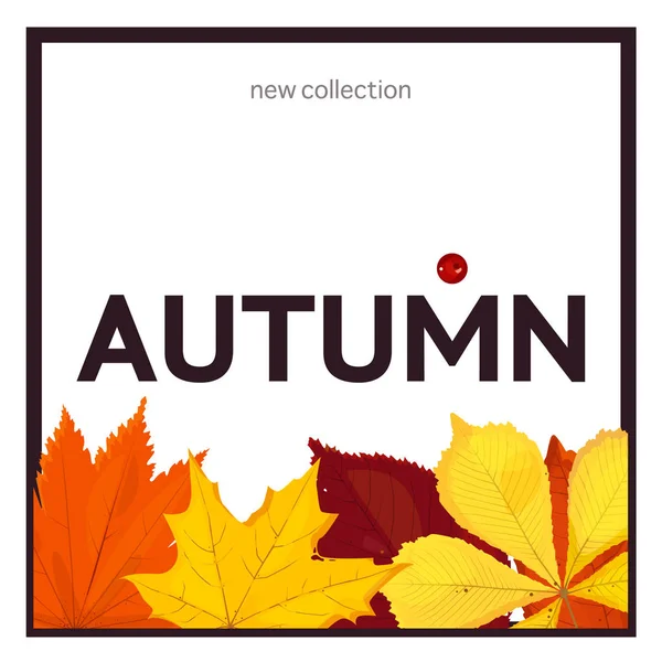 秋販売テキスト ポスター。レタリング テンプレート。明るい秋の葉。ポスター、カード、ラベル、バナー デザイン. — ストックベクタ
