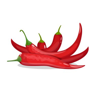 Kırmızı biber biber. Vektör. İzole