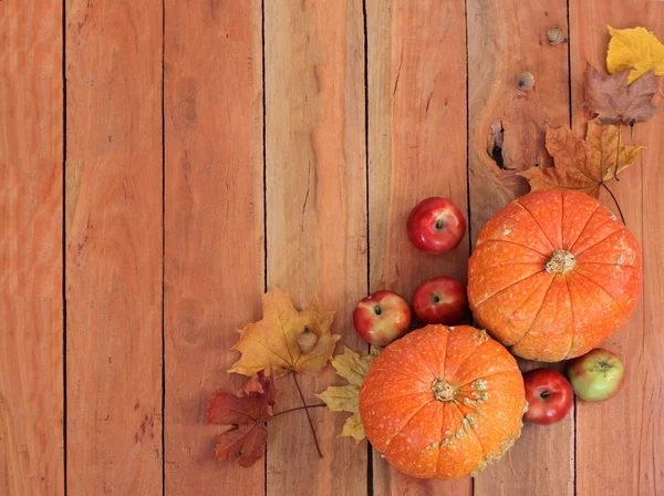 Autumn still life with pumpkins — Stock Photo, Image