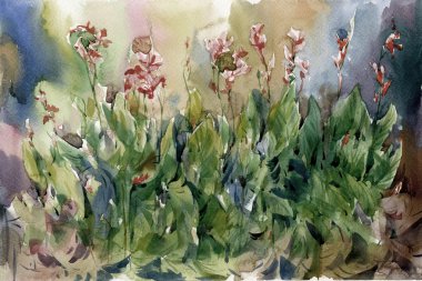 Soyut çiçek suluboya resim. Çok renkli çiçekler bahar