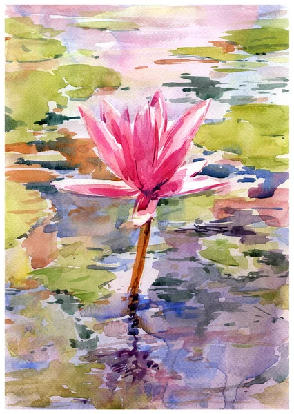 watercolor illustration painting of lotus