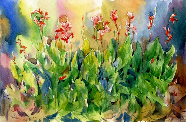 Pittura astratta fiori acquerello. Primavera fiori multicolori — Foto Stock