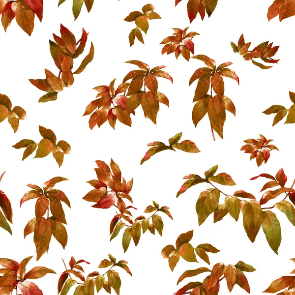 Watercolor illustration of leaf, seamless pattern — Stock Photo, Image