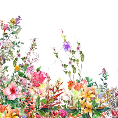 Soyut çiçek suluboya resim. Çok renkli çiçekler bahar