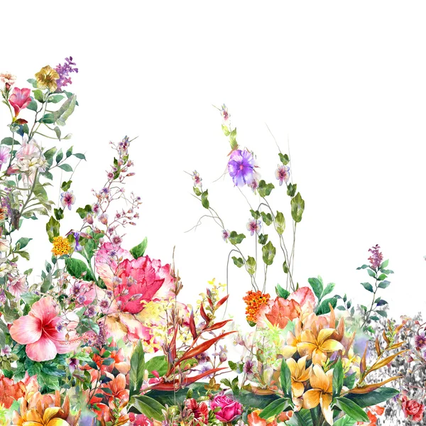 Soyut çiçek suluboya resim. Çok renkli çiçekler bahar