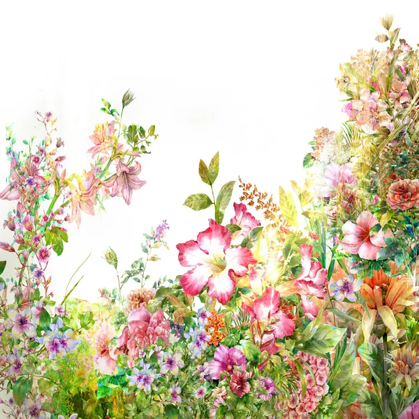 Aquarelle peinture de feuilles et fleurs — Photo