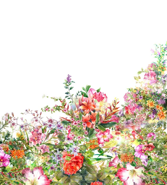 Akwarela malarstwo liści i kwiatów — Zdjęcie stockowe