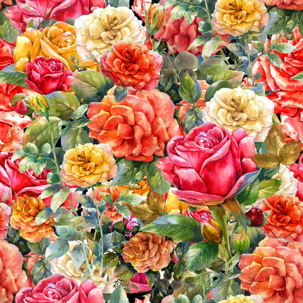 Aquarell-Malerei von Blumen, Rose — Stockfoto