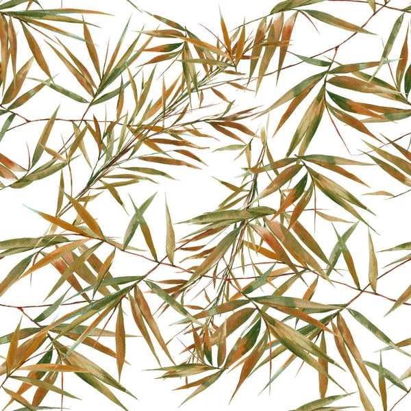 Aquarelle illustration peinture de feuilles de bambou — Photo