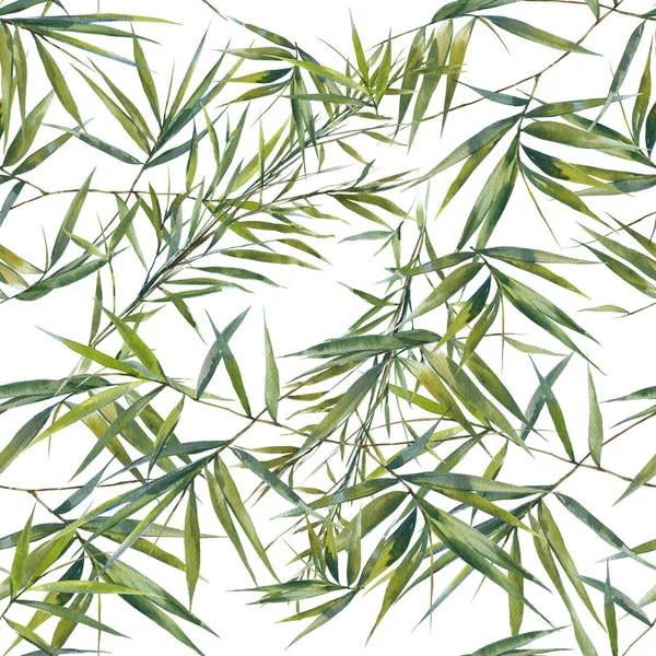 Watercolor illustration painting of bamboo leaves