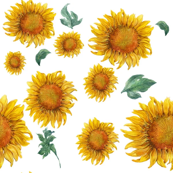 Lukisan warna air daun dan bunga matahari, pola mulus — Stok Foto
