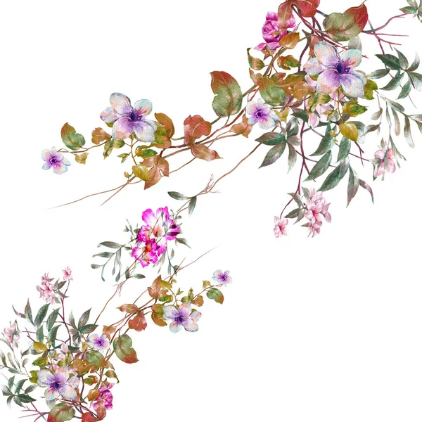 Aquarelle peinture de feuilles et de fleurs — Photo