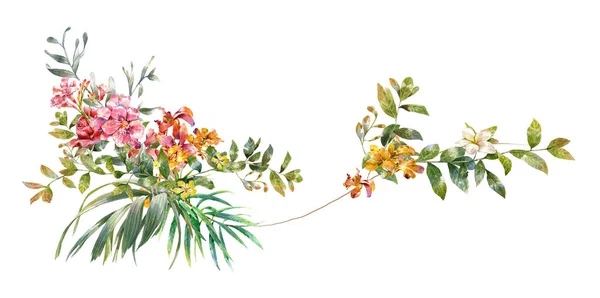 水彩画的叶子和花朵，白色背景上 — 图库照片