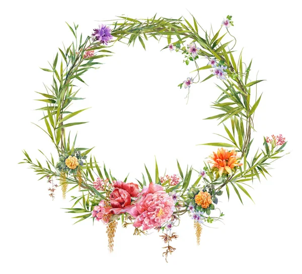 Aquarela pintura folhas e flor, com círculo sobre fundo branco — Fotografia de Stock