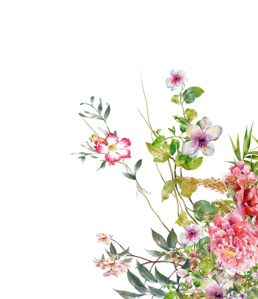 Aquarela pintura de folhas e flores, sobre fundo branco ilustração — Fotografia de Stock