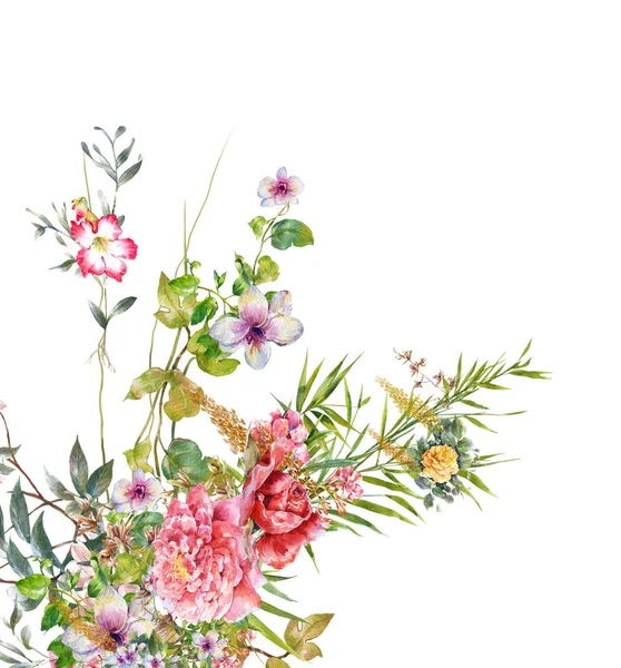 Aquarelle peinture de feuilles et de fleurs, sur fond blanc illustration — Photo