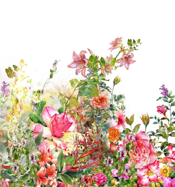 水彩绘画的叶子和花朵，白色背景图 — 图库照片