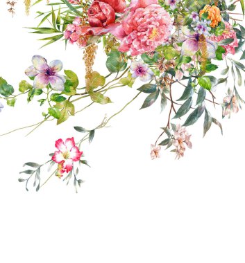 yaprak ve çiçek, beyaz arka plan illüstrasyon suluboya resim