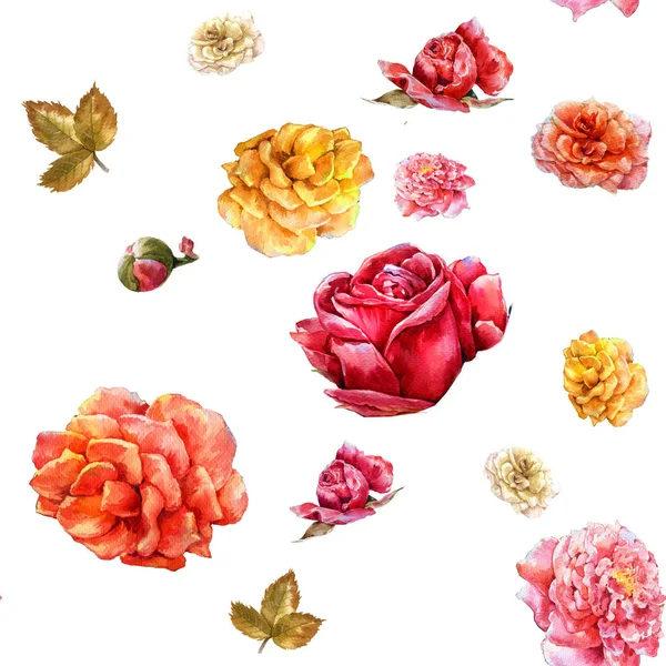 Aquarelle peinture de fleurs, rose, motif sans couture sur fond blanc — Photo