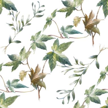 Sulu Boya resimde yaprak, beyaz zemin üzerine Dikişsiz desen
